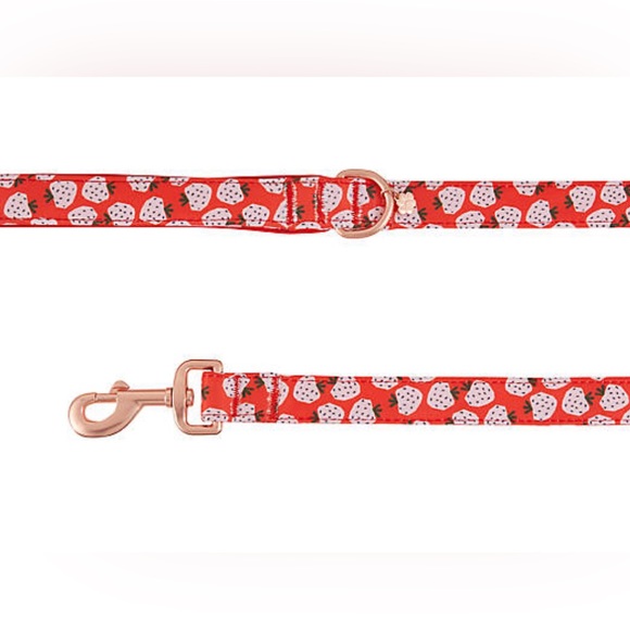 Top Paw® Strawberry Print Neoprene Dog Leash: 4-ft long, 1-in wide
